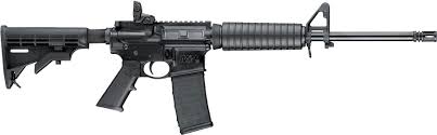 Smith & Wesson M&P15 Sport II .223/5.56 AR-15 Rifle 10202